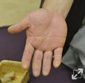 大鼓(おおつづみ=大皮おおかわ)